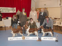 2005 BIS Winners
